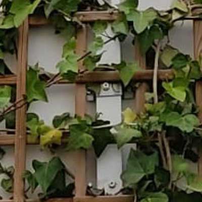 abrazadera_ractangular